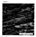 Fig. 04 - Heterogeneous polymer blend and process of making the same