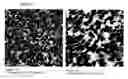 Fig. 08 - Heterogeneous polymer blend and process of making the same