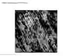 Fig. 06 - Heterogeneous polymer blend and process of making the same