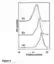 Fig. 06 - Methods for synthesis of graft polymers