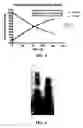 Fig. 03 - Conjugates having a degradable linkage and polymeric reagents useful in preparing such conjugates