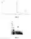 Fig. 04 - Conjugates having a degradable linkage and polymeric reagents useful in preparing such conjugates