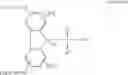 Fig. 57 - Conjugates having a degradable linkage and polymeric reagents useful in preparing such conjugates