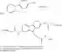 Fig. 75 - Conjugates having a degradable linkage and polymeric reagents useful in preparing such conjugates