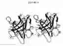 Fig. 07 - Crystal of a truncated protein construct containing a coagulation factor VIII C2 domain in the presence or absence of a bound ligand and methods of use thereof