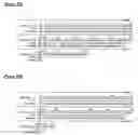 Fig. 43 - Antibodies directed to PDGFD and uses thereof