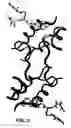 Fig. 06 - Crystallization of IGF-1