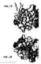 Fig. 08 - Crystallization of IGF-1