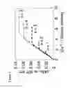 Fig. 04 - Metal complex type nucleic acid