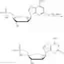 Fig. 13 - Nucleotide lipid ester derivatives