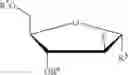 Fig. 19 - Nucleotide lipid ester derivatives