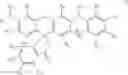 Fig. 05 - Novel rhodamine dyes