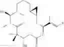 Fig. 24 - Analogs of epothilone