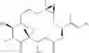 Fig. 28 - Analogs of epothilone