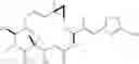 Fig. 43 - Analogs of epothilone