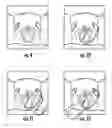 Fig. 07 - Surgical Introducer Apparatus and Methods of Use