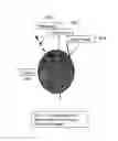 Fig. 07 - Methods and apparati for surgical navigation and visualization with microscope (