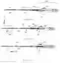 Fig. 25 - Minimally invasive surgical stabilization devices and methods