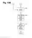 Fig. 19 - System and method for prioritizing medical conditions