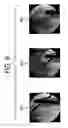 Fig. 07 - Method and system of acquiring images with a medical imaging device