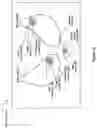 Fig. 10 - Method for automatic anatomy-specific treatment planning protocols based on historical integration of previously accepted plans