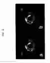 Fig. 07 - System and method to perform parallel imaging