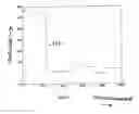 Fig. 09 - Nuclear magnetic resonance method for body composition analysis