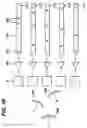 Fig. 09 - Ultrasonic spatial compounding with multiple simultaneous beam transmission
