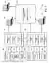 Fig. 10 - Evaluating a patient condition using autonomic balance information in implatable cardiac devices