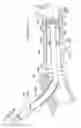 Fig. 22 - Apparatus and method for treating occluded vasculature
