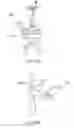 Fig. 22 - Methods and apparatuses for rehabilitation and training
