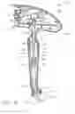 Fig. 17 - Applier for implantable medical device