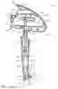 Fig. 16 - Implantable medical device with indicator
