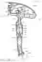 Fig. 17 - Implantable medical device with indicator