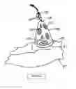 Fig. 05 - Fluid containment apparatus for surgery and method of use