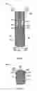 Fig. 07 - High-strength microwave antenna assemblies
