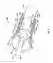 Fig. 07 - Electrode with rotatably deployable sheath