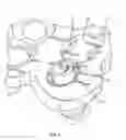 Fig. 02 - System and method for retaining screws relative to a vertebral plate