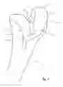 Fig. 02 - Milling system with guide paths and related methods for resecting a joint articulation surface