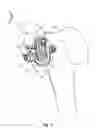Fig. 07 - Milling system with guide paths and related methods for resecting a joint articulation surface