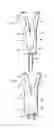 Fig. 09 - BIFURCATED STENT DELIVERY SYSTEM AND METHOD OF USE