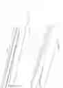 Fig. 25 - Retrieval catheter