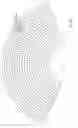Fig. 25 - Embolic protection device