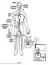 Fig. 10 - Method of making selective organ cooling catheter