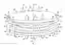 Fig. 01 - Intervertebral disc prosthesis and associated methods