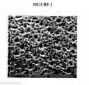 Fig. 02 - Implants with textured surface and methods for producing the same