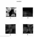 Fig. 05 - Implants with textured surface and methods for producing the same
