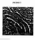 Fig. 08 - Implants with textured surface and methods for producing the same