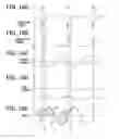 Fig. 09 - Fuel injection controlling apparatus for internal combustion engine