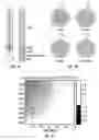 Fig. 08 - Methods and devices for analyzing and controlling the propagation of waves in a borehole generated by water hammer